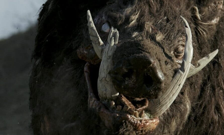 boar 2017 creature