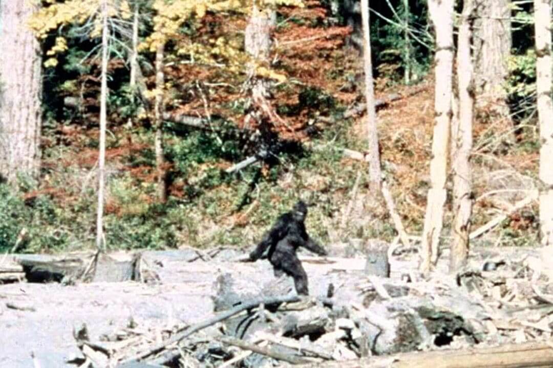 Talking Bigfoot & The Mysterious Patterson-Gimlin Film with Scott Philbrook & Forrest Burgess