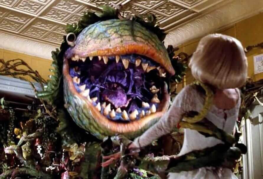 little shop of horror 1986