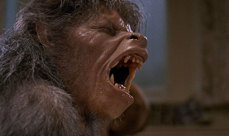 An American Werewolf In London Movie