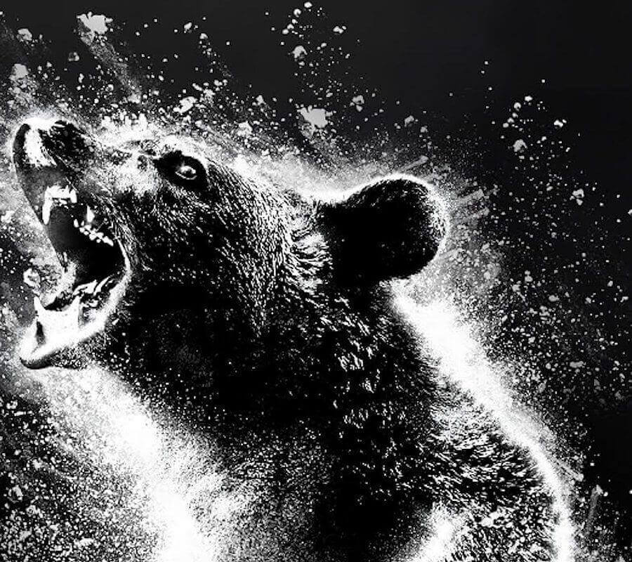 cocaine bear black and white