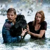 crawl - movies where the dog survives - sugar