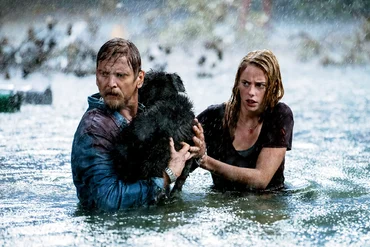 crawl - movies where the dog survives - sugar