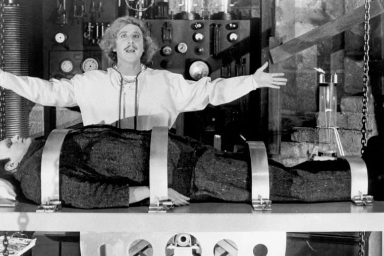 young frankenstein 1974