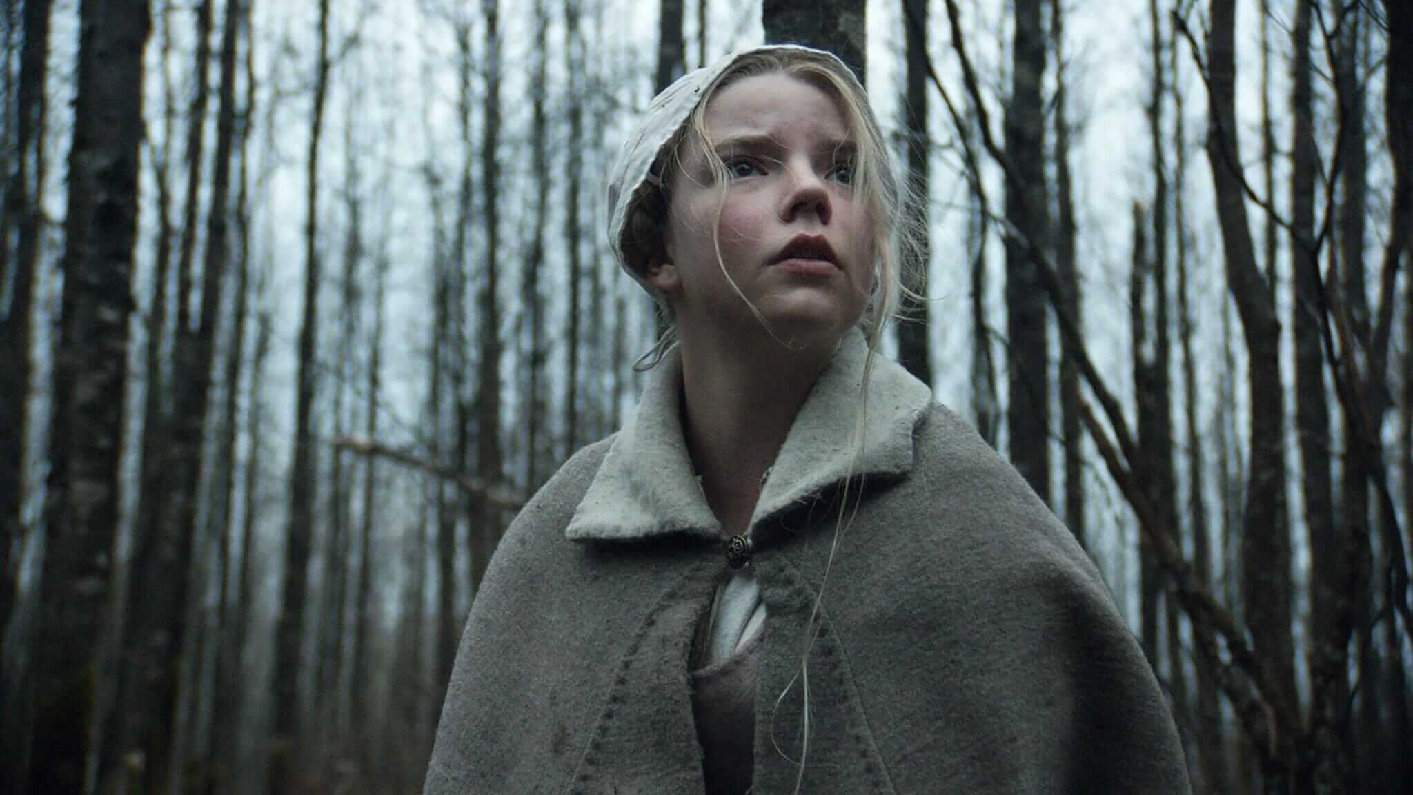 the witch vvitch 2015 folk horror