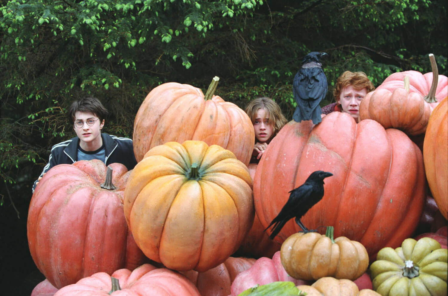 harry potter and the prisoner of azkaban movies set in pumpkin patches
