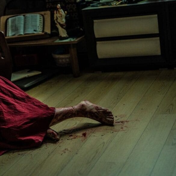 Noise 2025 Bloody Feet