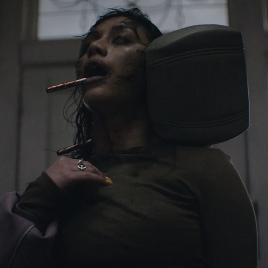 Evil Dead Burn Car Seat Headrest