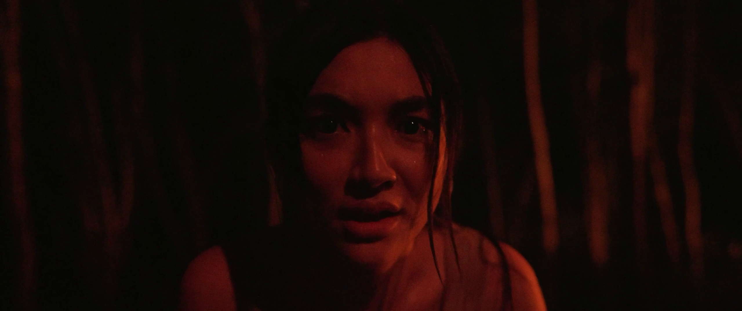 The Last Footage scaled
